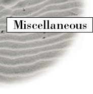 Miscellaneous